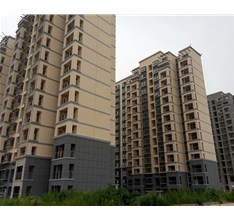 浅谈真石漆应用中的常见问题及其预防对策