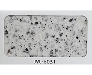 JYL-6031
