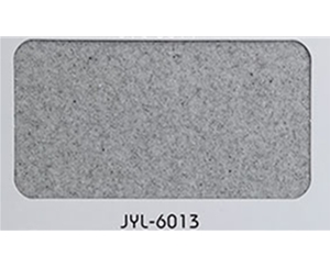 JYL-6013