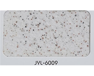 JYL-6009