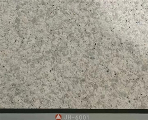 6001