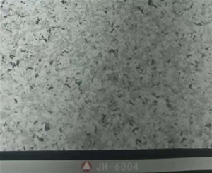 6004