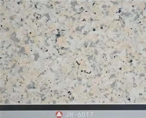 6017
