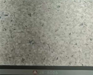 6006